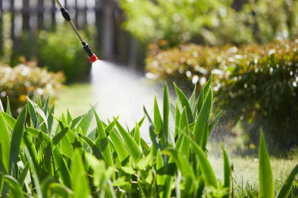 24/7 Emergency Fumigation Services experts in Green River, WY