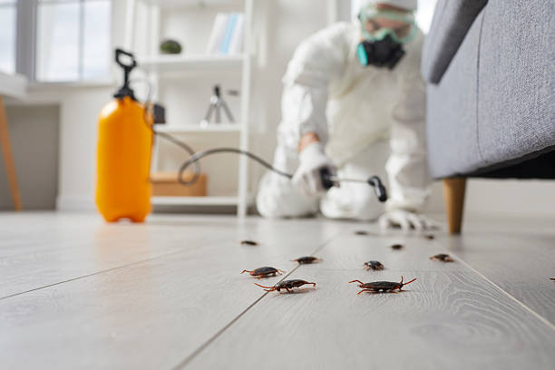Trusted Fumigation Services service in Green River, WY - Nex Pest Control