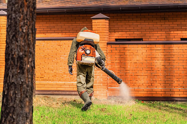 Trusted Rodent Control service in Green River, WY - Nex Pest Control